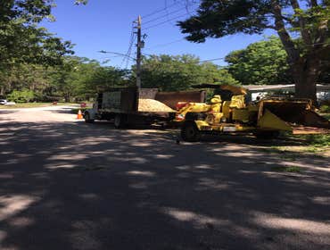 Photos by Flynn's Tree Pros #1