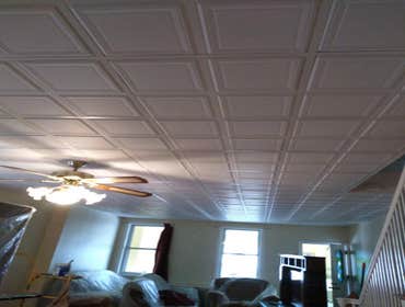 Photos by Silverback Painting Solutions #1
