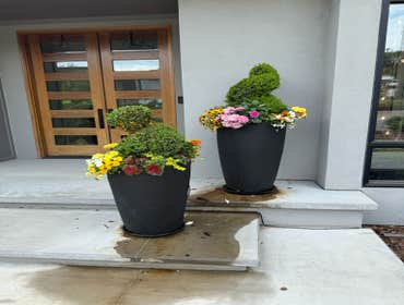 Photos by Hernandez ASSOC. Landscaping