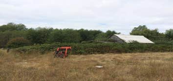 Brush Clearing - Before & After