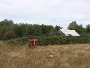 Brush Clearing - Before & After