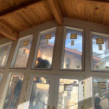 Photos by My Windows & Doors Contractor Inc #2 Window replacement wood clad pella