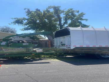 Photos by Ruiz Tree Service #10