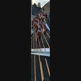 123 Remodeling & Roofing LLC