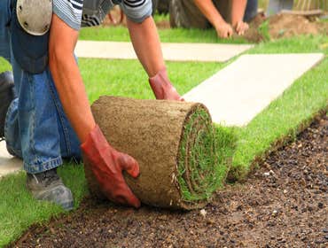 Photos by El Retiro Landscaping #1