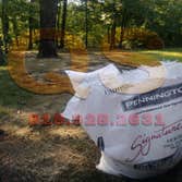 Fescue Grass Seed Coweta