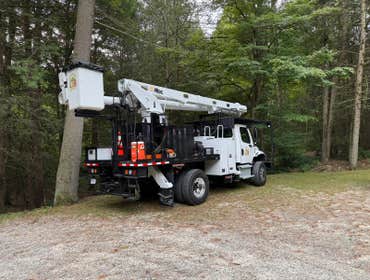 Photos by Owen's Tree Expert LLC #7