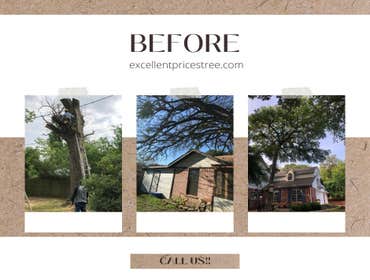 Photos by Excellent Prices Tree Services #2