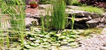 Plantique, Inc. ....some of our work Landscapes by Plantique have one wish: to be loved by their homeowners. That’s why our award-winning designers wor