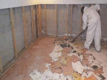 Basement Gut out