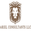 Ariel Consultants logo