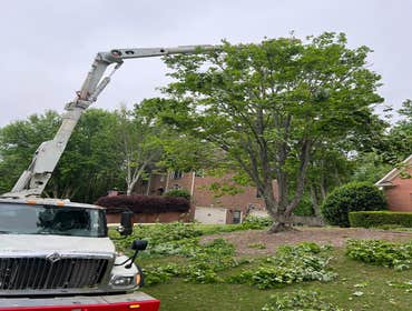 Photos by Rg Tree Services #13