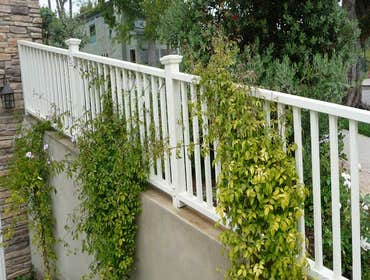 Fences