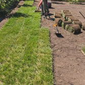 C & M LANDSCAPING LLC
