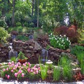 Photos by Mercy Garden Nursery #1