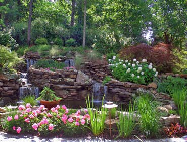 Photos by Mercy Garden Nursery #1