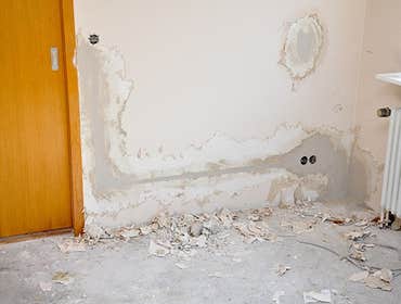 Photos by TMP Restoration & Renovation Services #1