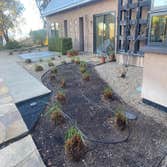Photos by Sierra Gold Landscaping #1
