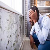 Prime Water Damage Restoration Tampa