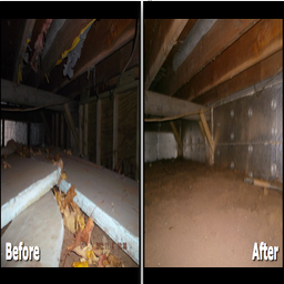 Dr Energy Saver Photos