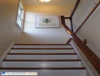 Photo(s) from Custom Colors Llc