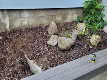 Before planting & mulch