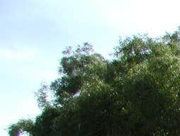 Landscape Design A beautiful well-kept and well-designed landscape not only adds value to your home and your neighborhood, but also increases your livi