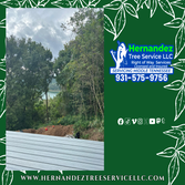 Photos by HerHERNANDEZ TREE SERVICE: NATURE'S CARETAKERS AT YOUR SERVICEnandez Tree Service LLC #3 ? (931) 575-9756
? hernandeztree22@mail.com
? www.h