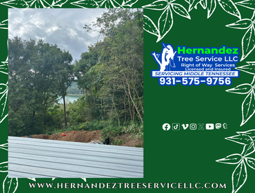 Photos by HerHERNANDEZ TREE SERVICE: NATURE'S CARETAKERS AT YOUR SERVICEnandez Tree Service LLC #3 ? (931) 575-9756
? hernandeztree22@mail.com
? www.h