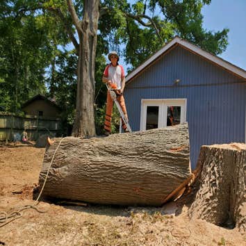 Photos by Beaver Lake Tree Service, Inc #1