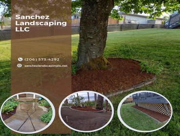 Photos by Sanchez Landscaping LLC #16