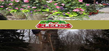 Photos by Leo’s Tree & Lawn Service Inc #2