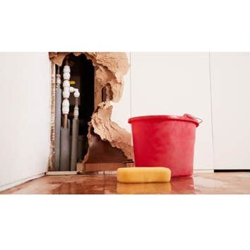 Buck City Water Damage Repair