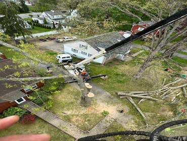 Photos by Leo’s Tree & Lawn Service Inc #5