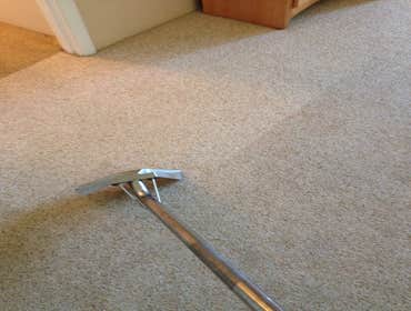 Carpet Cleaning