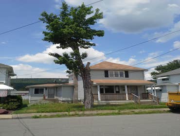 Photo(s) from Freeman The Treeman