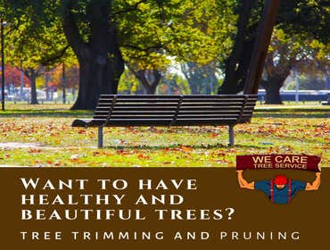 We Care Tree Services Looking for complete tree service. From tree removal to land clearing – We Care Tree Service can handle all of your tree service 