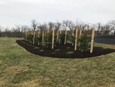 Photos by Sg Gonzalez Landscaping & Maintenance LLC #1