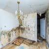 Garden Water Damage Experts logo