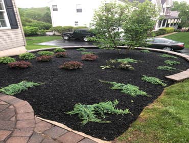Photos by Ed Francos Simply Green, LLC #1