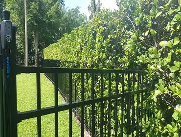 Fences