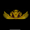Falcon General Contractor LLC logo