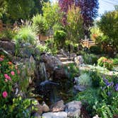 Waterfall/ water feature with greenery around