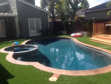 Turf, back yard