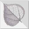 Erik Bednarek Dba ​ejb Designs, LLC Site Planning & Landscape Architecture logo