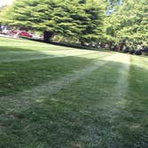 Grass cutting