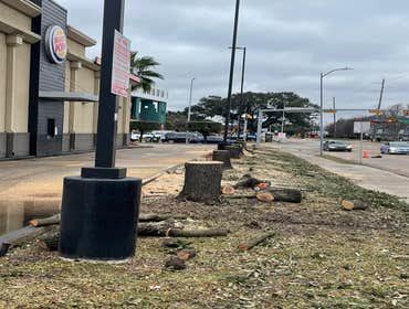 Photos by Contreras Tree Services #7