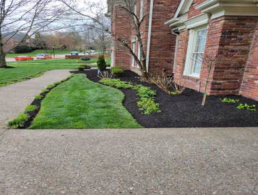Photos by Alberto Alavez Professional Lawn Services LLC #6