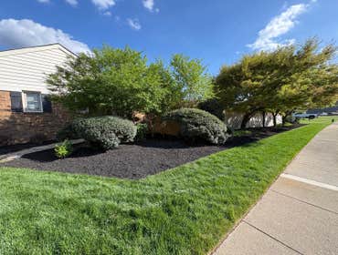 Photos by Beauty Meister Landscaping LLC #2
