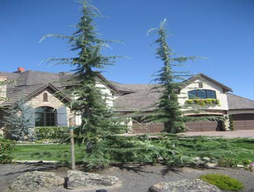 Photos from Natural Lawns and Landscape